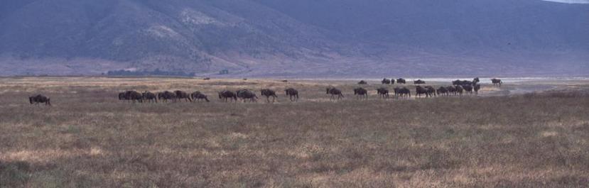 Tanzania024