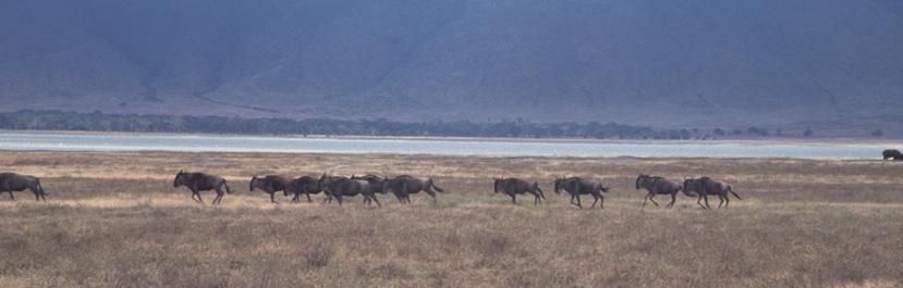 Tanzania025