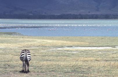 Tanzania031