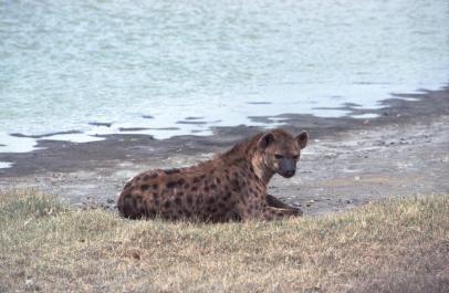 Tanzania032