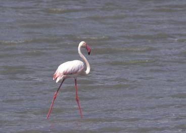 Tanzania039