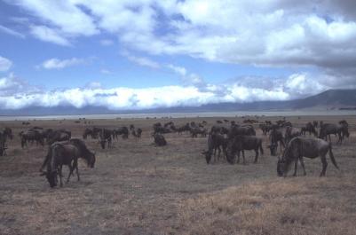 Tanzania047