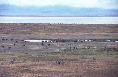 Tanzania050