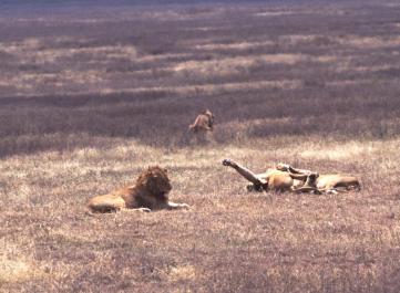 Tanzania051