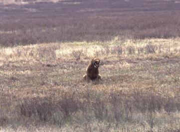 Tanzania054