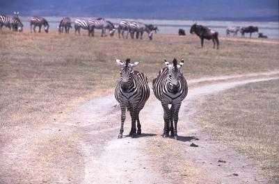 Tanzania056