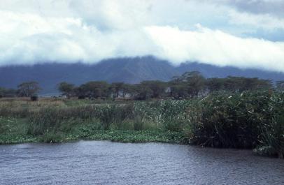 Tanzania057