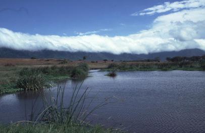 Tanzania058
