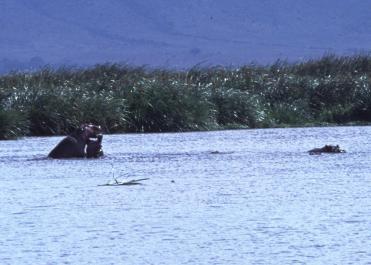 Tanzania059