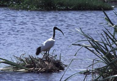 Tanzania060
