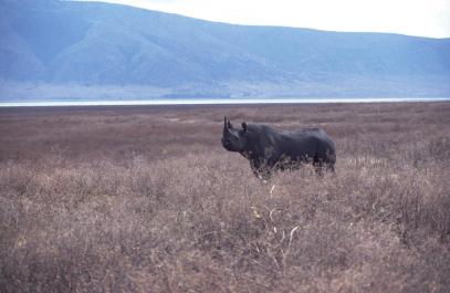 Tanzania061