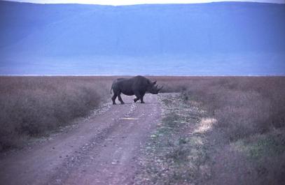 Tanzania062