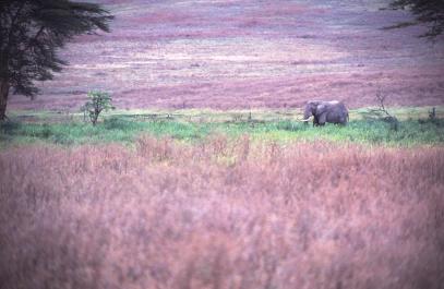 Tanzania063