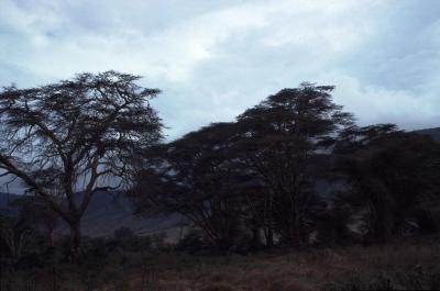 Tanzania068