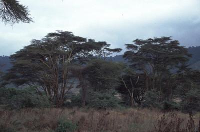 Tanzania069