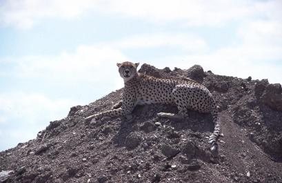 Tanzania080
