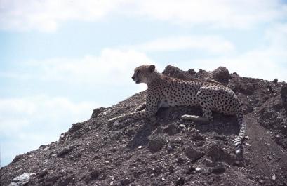 Tanzania081