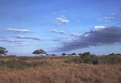 Tanzania093