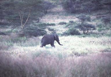 Tanzania094