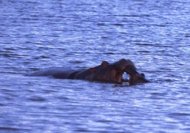 Tanzania097