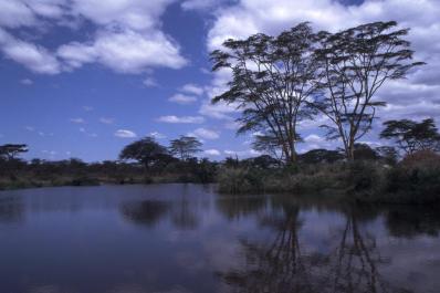 Tanzania117