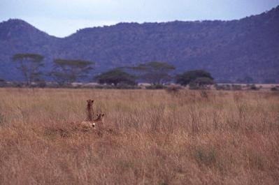 Tanzania129