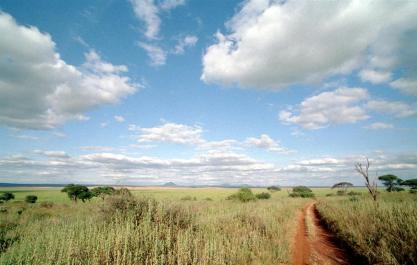 Tanzania156