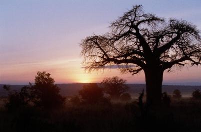 Tanzania159