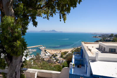 Sidibousaid202