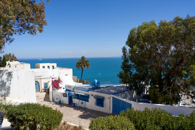 Sidibousaid203