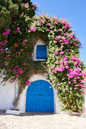 Sidibousaid206