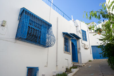 Sidibousaid208