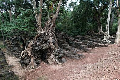 SiemReap31
