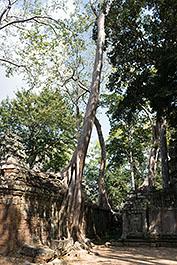SiemReap34