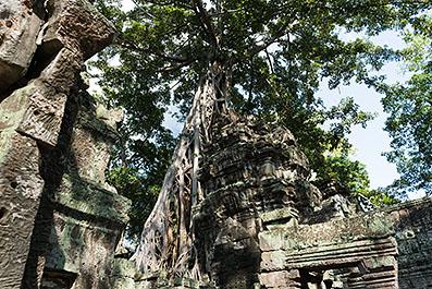 SiemReap36