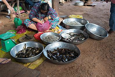 SiemReap45