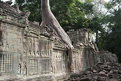 SiemReap54
