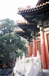 GuGong60