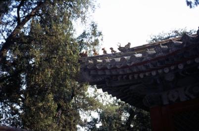 GuGong68