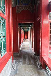 GuGong242