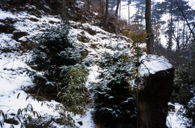 MuTianYu05