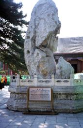YiHeYuan04