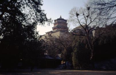 YiHeYuan41