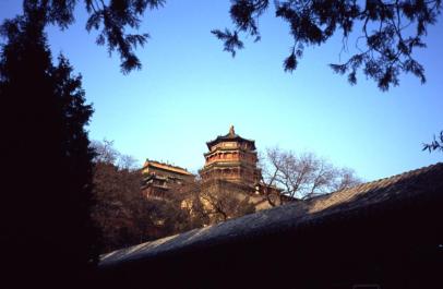 YiHeYuan49