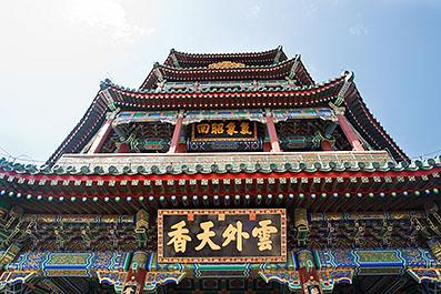 YiHeYuan81