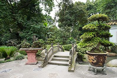 DuJiangYan11
