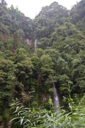 EMeiShan19