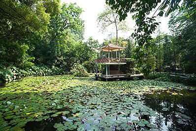 GuangZhou03