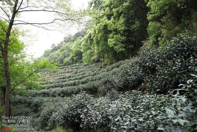 HangZhou12