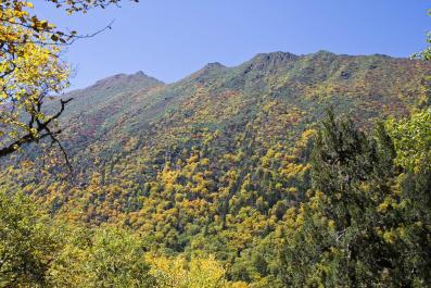 HuangLong05